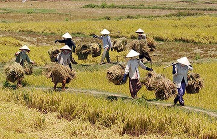 Blouse tay phồng quá đà: Tay phồng quá to dễ khiến tổng thể trông nặng nề, thay vào