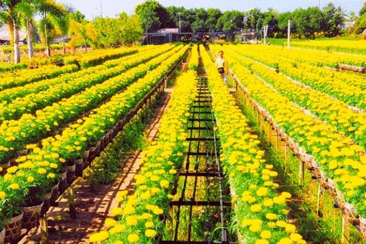 Áo sơ mi cổ bèo: Áo sơ mi cổ bèo là một trong những lỗi thời trong thời trang mà