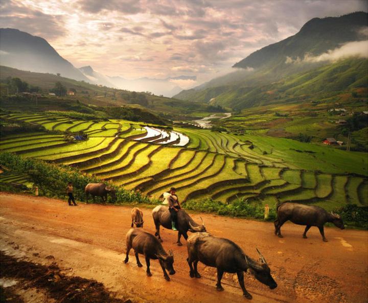 Từ Gần 300 bé mẫu giáo