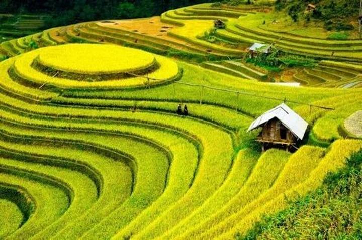 [Rap Việt mùa 4: Hotspot Matrix tạo ra xu hướng