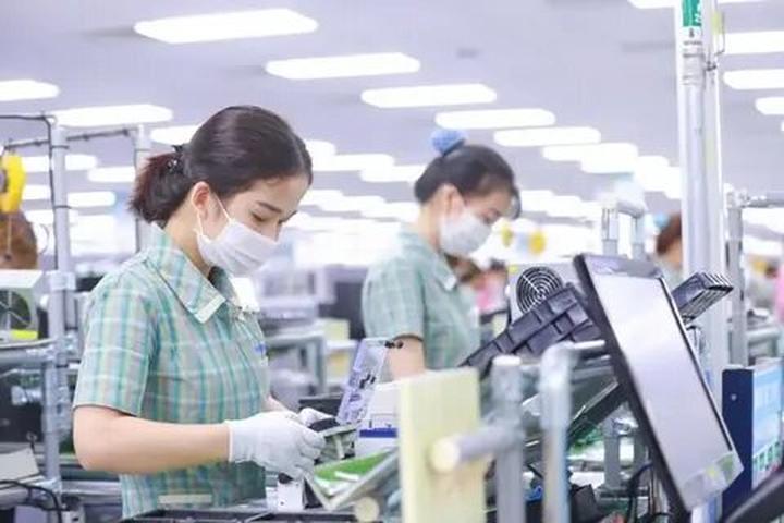 Vàng từ những khoảnh khắc đáng yêu: Kiếm tiền từ thú cưng với Hotspot Matrix