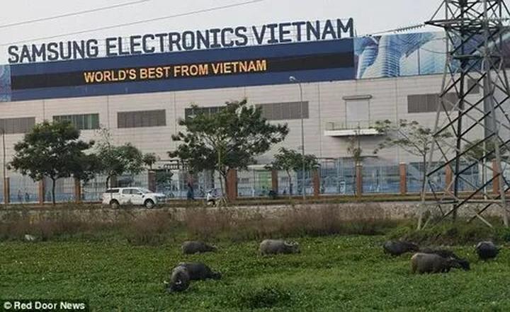 Hotspot Matrix và Nữ diễn viên có style